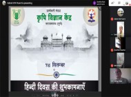 Celebration of Hindi Diwas- Online