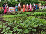 Visit to Nutrition Garden developed by Farm womens