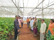 Skill training program on Protected Cultivation