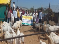 ARYA Goat training  field visit