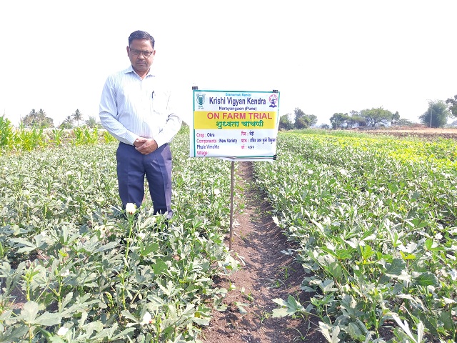 OFT- Use of new high yielding variety Phule Vimukta